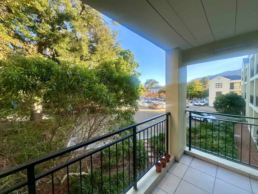 To Let 1 Bedroom Property for Rent in Rondebosch Western Cape